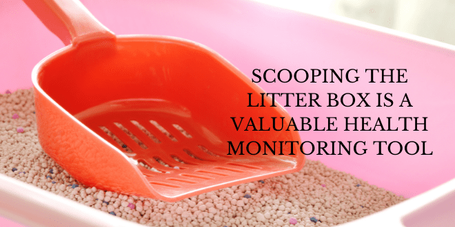 scooping is a valuable health monitoring tool
