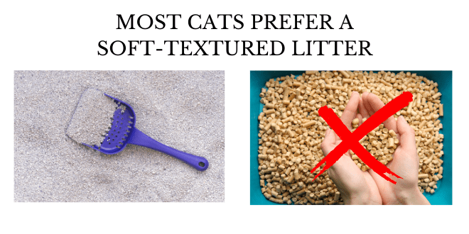 most cats prefer a soft textured litter