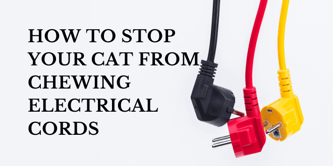 How to Stop Your Cat From Chewing Electrical Cords  